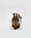 No.5L-05:cocoa pearl2