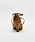 No.7L-01:parral gold brown2