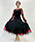 No.5036P_840P:black×red5